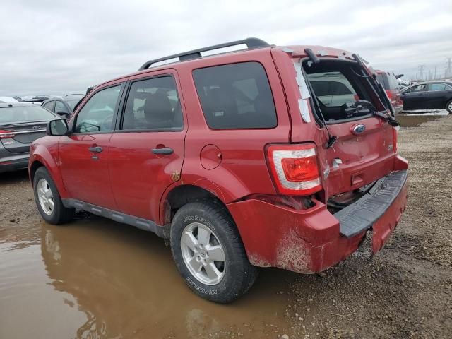 2011 Ford Escape XLT