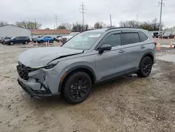 Salvage cars for sale at Columbus, OH auction: 2023 Honda CR-V Sport