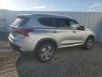 2023 Hyundai Santa FE SEL Premium