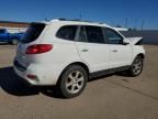 2007 Hyundai Santa FE SE