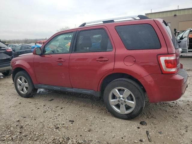 2012 Ford Escape Limited