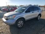 2010 Honda CR-V LX