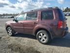 2011 Honda Pilot EXL