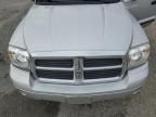 2005 Dodge Dakota Quad SLT