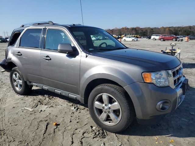 2011 Ford Escape Limited