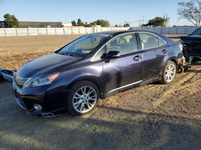 2010 Lexus HS 250H