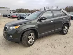 Carros salvage sin ofertas aún a la venta en subasta: 2012 KIA Sorento EX