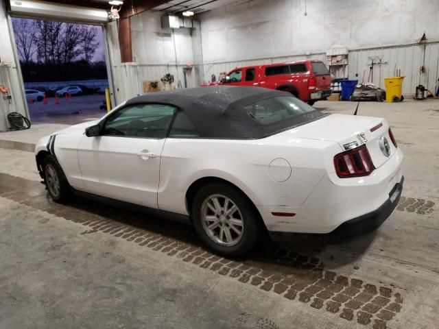 2010 Ford Mustang