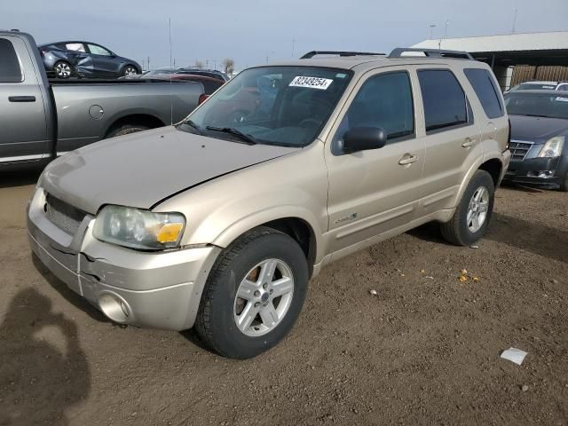 2007 Ford Escape HEV