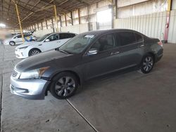 Salvage cars for sale at Phoenix, AZ auction: 2010 Honda Accord EX