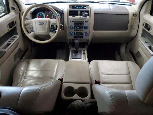 2009 Ford Escape XLT