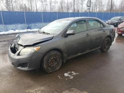 Toyota salvage cars for sale: 2010 Toyota Corolla Base