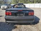 1998 Ford Mustang Cobra