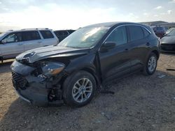 Salvage cars for sale at San Antonio, TX auction: 2020 Ford Escape SE