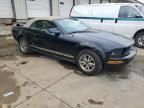 2005 Ford Mustang