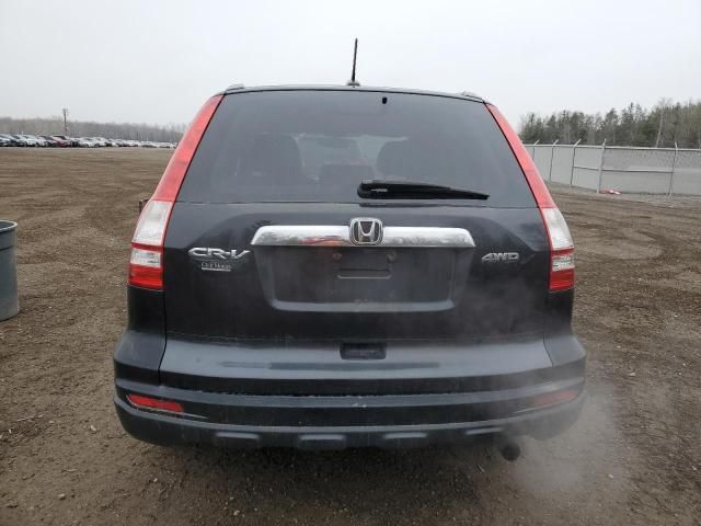 2010 Honda CR-V EXL