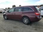 2013 Honda Odyssey EXL