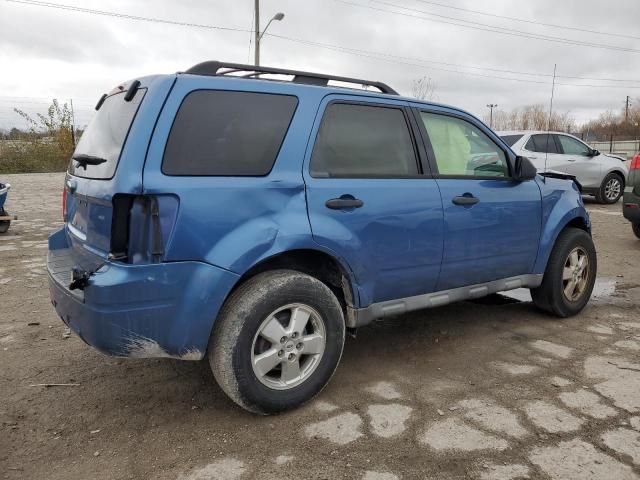 2009 Ford Escape XLT