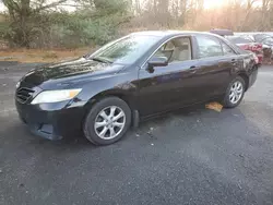 Toyota Camry Base salvage cars for sale: 2011 Toyota Camry Base