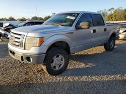 2010 Ford F150 Supercrew en venta en Riverview, FL