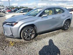 Salvage cars for sale at auction: 2023 Lexus UX 250H Premium