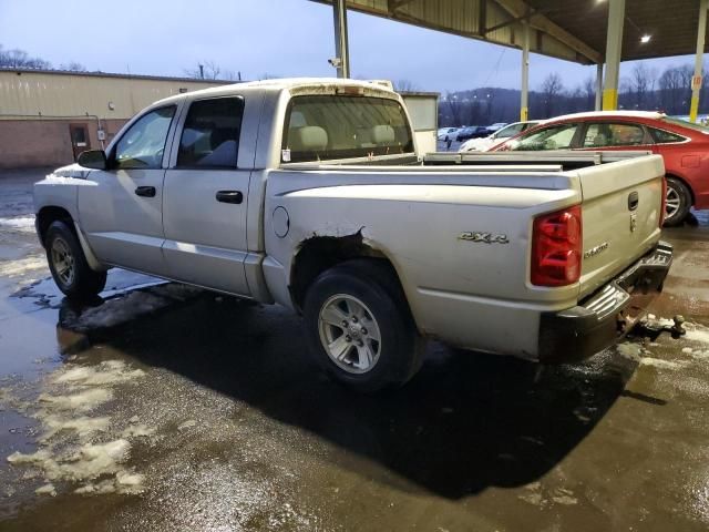 2008 Dodge Dakota SXT