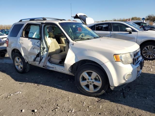 2011 Ford Escape Limited