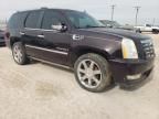 2009 Cadillac Escalade Luxury