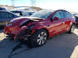 2023 Tesla Model Y en venta en Littleton, CO