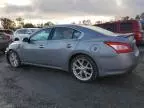 2009 Nissan Maxima S