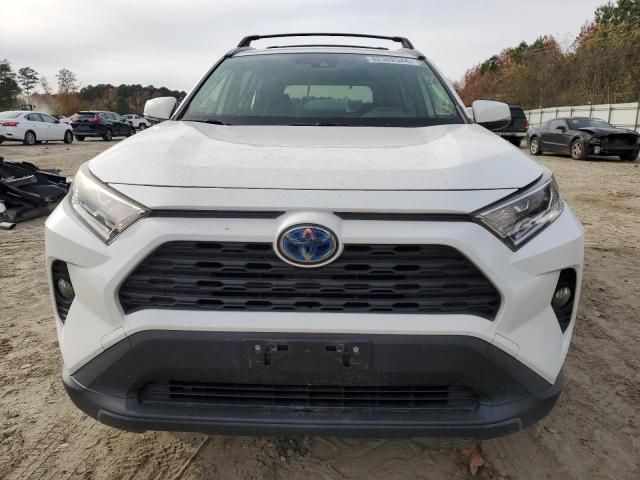 2019 Toyota Rav4 XLE