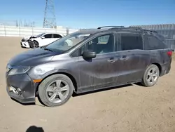 Salvage cars for sale at Adelanto, CA auction: 2020 Honda Odyssey EXL