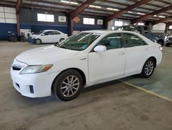 Toyota Vehiculos salvage en venta: 2011 Toyota Camry Hybrid