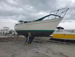 Salvage boats for sale at Riverview, FL auction: 1977 Sail Boat Boat