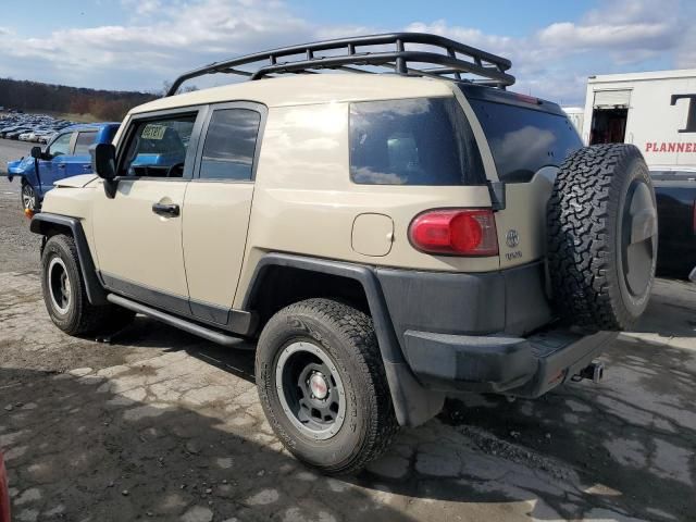 2010 Toyota FJ Cruiser