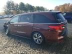 2021 Honda Odyssey Touring