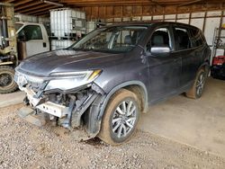 2020 Honda Pilot EXL en venta en Kapolei, HI