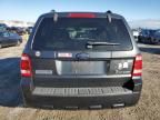 2008 Ford Escape HEV