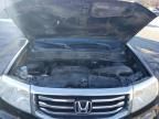 2013 Honda Pilot EXL