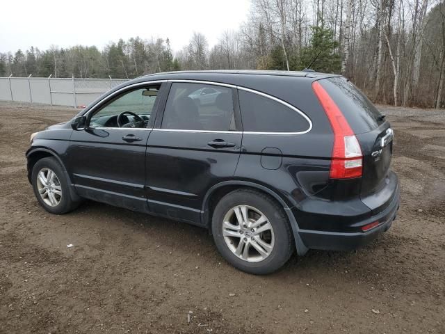 2010 Honda CR-V EXL