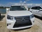 2019 Lexus GX 460