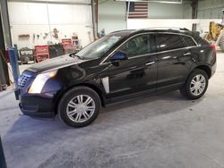 Salvage Cars with No Bids Yet For Sale at auction: 2016 Cadillac SRX Luxury Collection