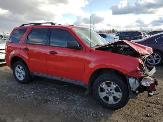 2009 Ford Escape XLT