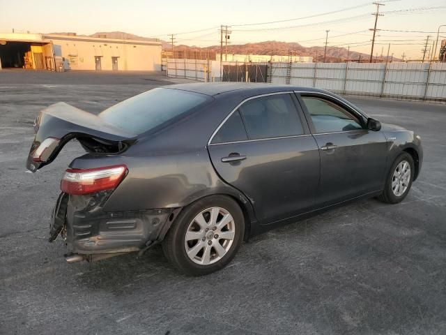 2009 Toyota Camry Hybrid