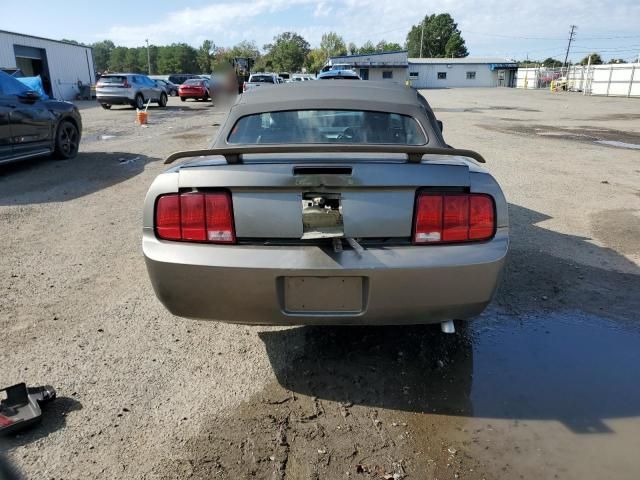 2005 Ford Mustang