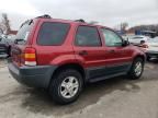 2003 Ford Escape XLT