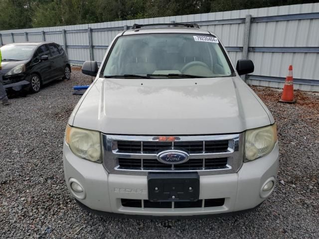 2009 Ford Escape XLT