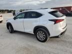 2019 Lexus NX 300H