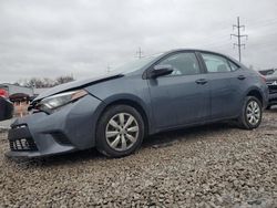 Salvage cars for sale at Columbus, OH auction: 2014 Toyota Corolla L