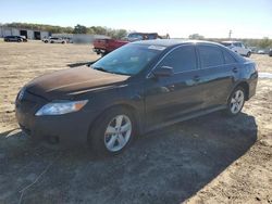 Toyota salvage cars for sale: 2011 Toyota Camry Base